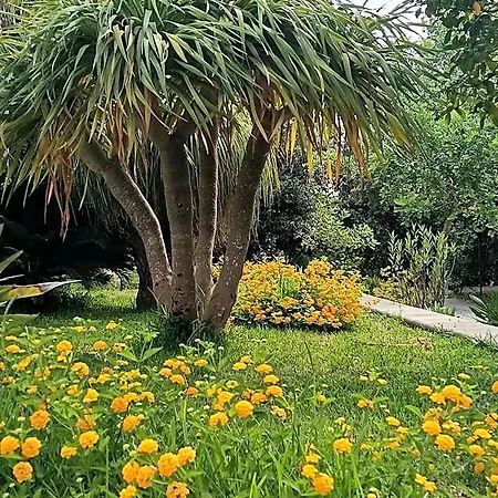 فندق Masseria