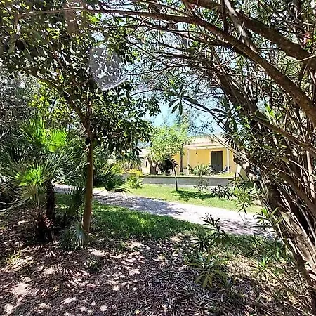 Masseria